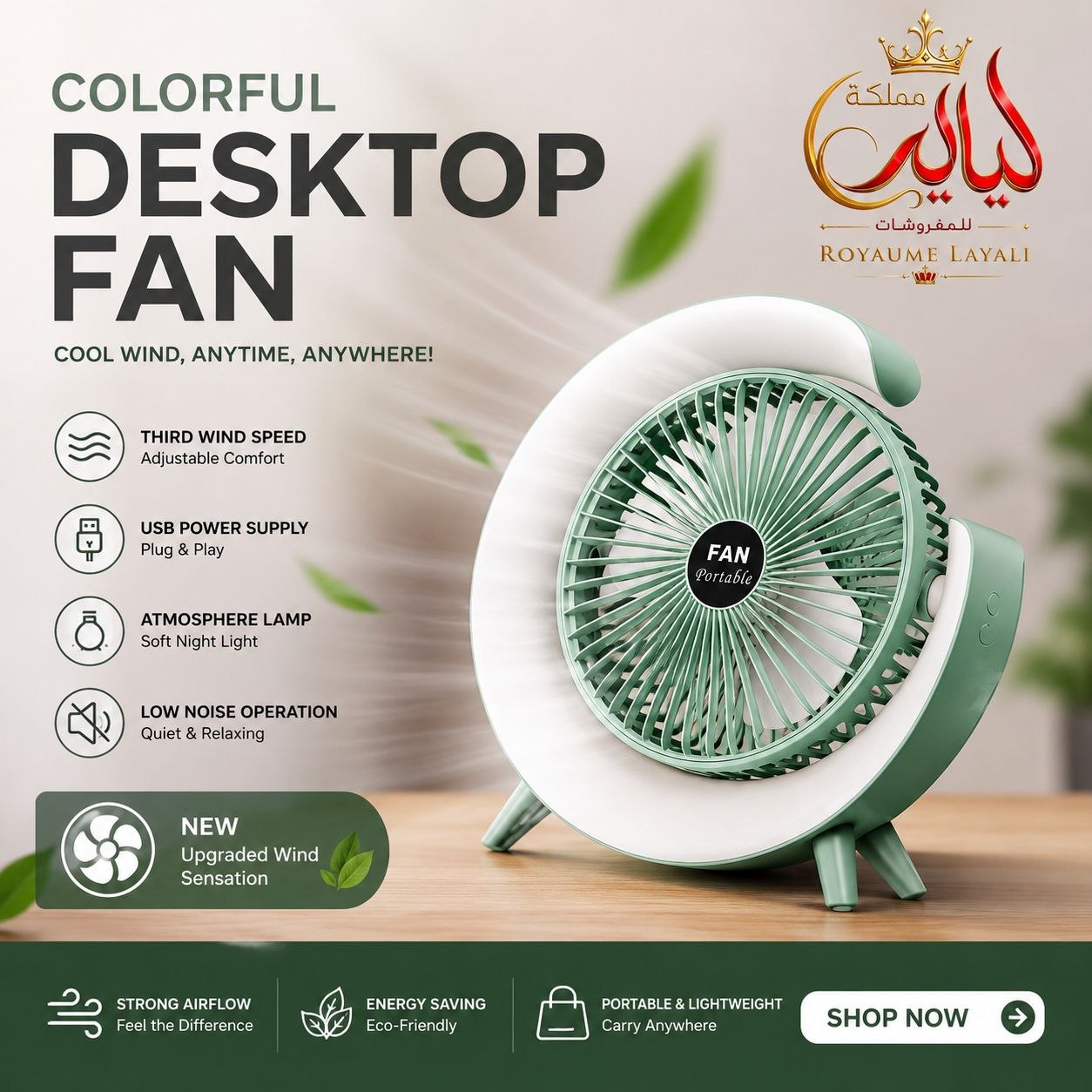 Ventilateur de Bureau USB avec Lumière LED