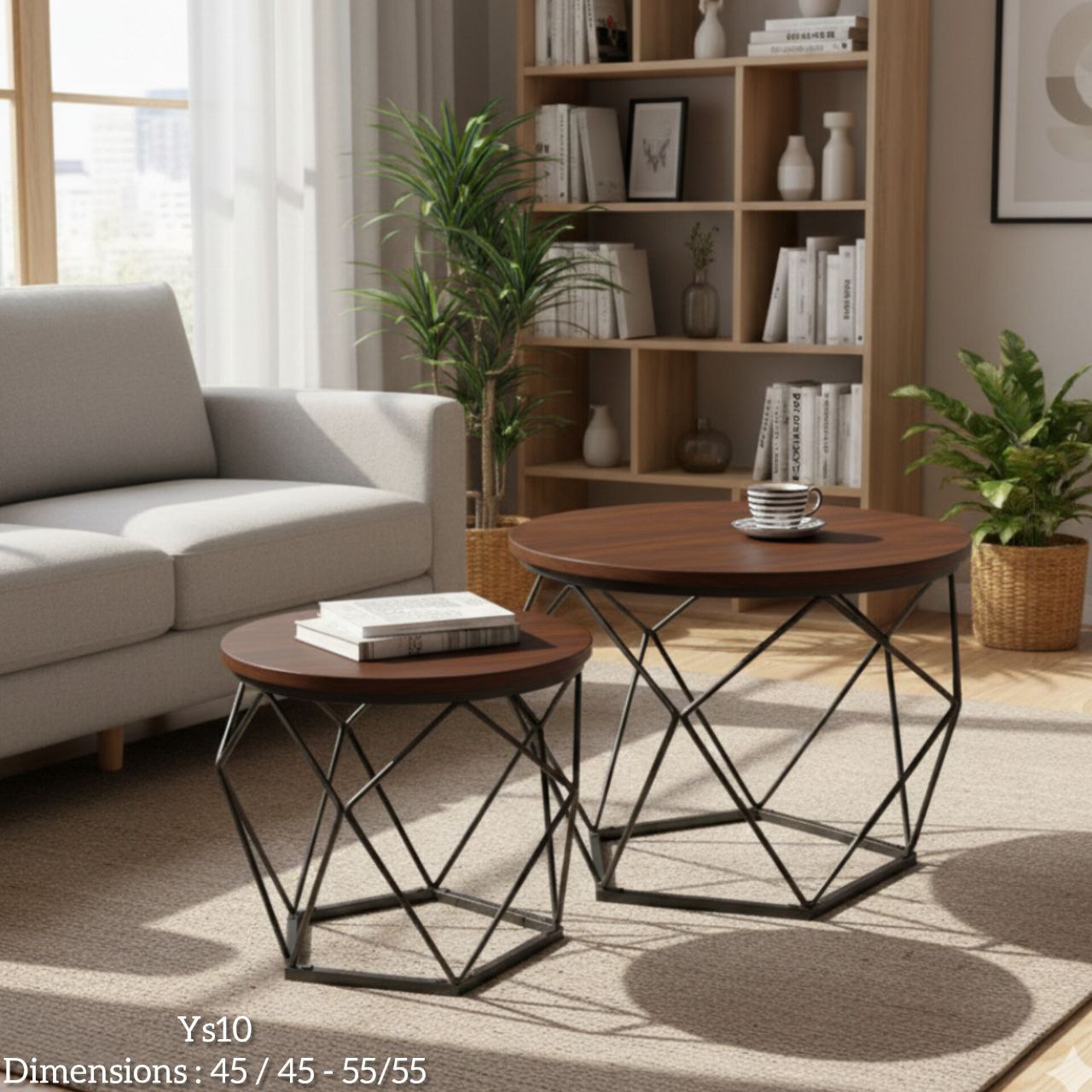 Set de 2 Tables Basses Géométriques en Bois & Métal